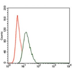 Phosphatidylinositol 3-Kinase Regulatory Subunit Alpha (PIK3R1) Antibody