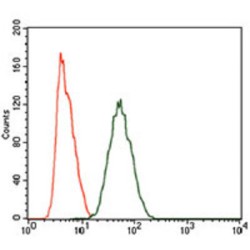 Piwi Like RNA-Mediated Gene Silencing 4 (PIWIL4) Antibody