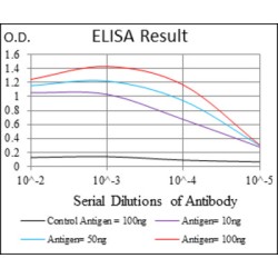 S-Phase Kinase Associated Protein 1 (SKP1) Antibody