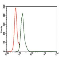 BPI Fold-Containing Family A Member 2 (BPIFA2) Antibody