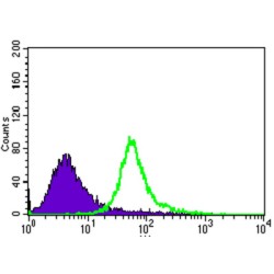 TRAF-Type Zinc Finger Domain Containing 1 (TRAFD1) Antibody