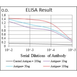 ZFP42 Zinc Finger Protein (ZFP42) Antibody