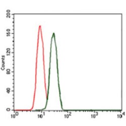 mouse Lplunc1 Antibody