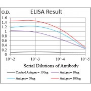 ELISA analysis. Black Line: Control Antigen (100 ng), Purple Line: Antigen (10 ng), Blue Line: Antigen (50 ng), Red Line: Antigen (100 ng).