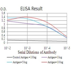 Rab11 Family-Interacting Protein 1 (RAB11FIP1) Antibody