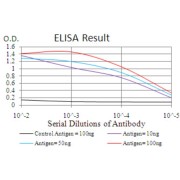 ELISA analysis of RND3 antigen using serial dilutions of RND3 antibody. 100 ng control antigen (black), 10 ng Antigen (purple), 50 ng Antigen (blue) and 100 ng Antigen (red).
