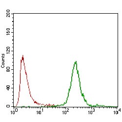 Carbonic Anhydrase 9 (CA9) Antibody