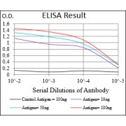 Fig. 1. Black line: Control Antigen (100 ng); Purple line: Antigen(10ng); Blue line: Antigen (50 ng); Red line: Antigen (100 ng)