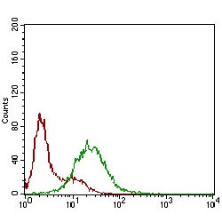 Somatostatin Receptor 3 (SSTR3) Antibody