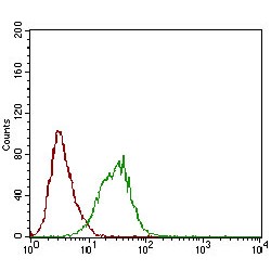 Phospholipase A2, Group XIIA (PLA2G12A) Antibody