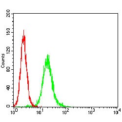 Amyloid-beta Precursor Protein (APP) Antibody