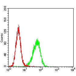Trefoil Factor 2 (TFF2) Antibody