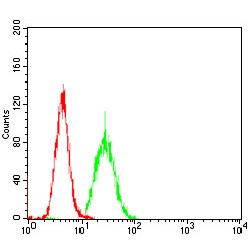 Fibrocystin (PKHD1) Antibody