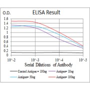 Fig. 1. Black line: Control Antigen (100 ng); Purple line: Antigen(10ng); Blue line: Antigen (50 ng); Red line: Antigen (100 ng)