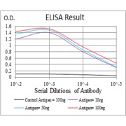 Fig. 1. Figure 1:Black line: Control Antigen (100 ng); Purple line: Antigen(10ng); Blue line: Antigen (50 ng); Red line: Antigen (100 ng)