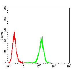 Absent In Melanoma 2 (AIM2) Antibody