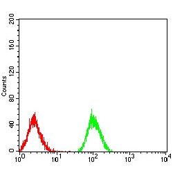 Peroxisome Proliferator Activated Receptor Alpha (PPARA) Antibody