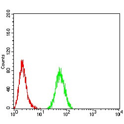 Mismatch Repair Endonuclease PMS2 (PMS2) Antibody