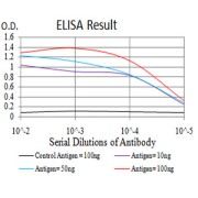 Fig. 1. Black line: Control Antigen (100 ng); Purple line: Antigen(10ng); Blue line: Antigen (50 ng); Red line: Antigen (100 ng)