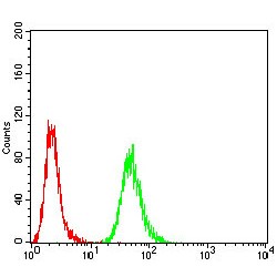 Histone H3.2 (HIST2H3C (27Ac)) Antibody
