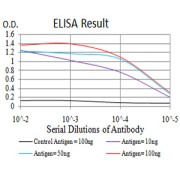 Fig. 1. Black line: Control Antigen (100 ng); Purple line: Antigen(10ng); Blue line: Antigen (50 ng); Red line: Antigen (100 ng)