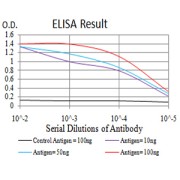 Fig. 1. Black line: Control Antigen (100 ng); Purple line: Antigen(10ng); Blue line: Antigen (50 ng); Red line: Antigen (100 ng)