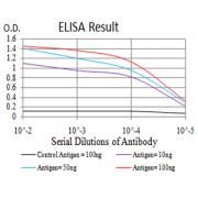 Fig. 1. Black line: Control Antigen (100 ng); Purple line: Antigen(10ng); Blue line: Antigen (50 ng); Red line: Antigen (100 ng)