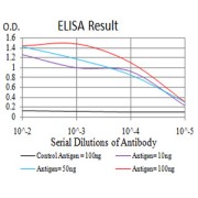 Fig. 1. Figure 1:Black line: Control Antigen (100 ng)Purple line: Antigen (10ng); Blue line: Antigen (50 ng); Red line:Antigen (100 ng)