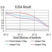 Fig. 1. Figure 1:Black line: Control Antigen (100 ng)Purple line: Antigen (10ng); Blue line: Antigen (50 ng); Red line:Antigen (100 ng)