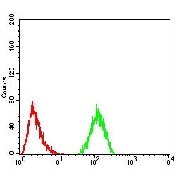 Complement Factor H-Related Protein 5 (CFHR5) Antibody