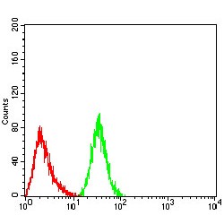 PR Domain Zinc Finger Protein 14 (PRDM14) Antibody