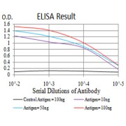 Fig. 1. Figure 1:Black line: Control Antigen (100 ng)Purple line: Antigen (10ng); Blue line: Antigen (50 ng); Red line:Antigen (100 ng)