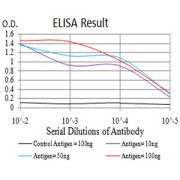 Fig. 1. Figure 1:Black line: Control Antigen (100 ng)Purple line: Antigen (10ng); Blue line: Antigen (50 ng); Red line:Antigen (100 ng)