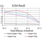 Fig. 1. Figure 1:Black line: Control Antigen (100 ng)Purple line: Antigen (10ng); Blue line: Antigen (50 ng); Red line:Antigen (100 ng)