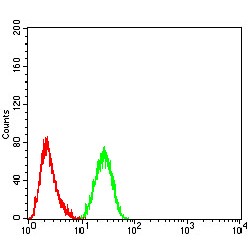 Lysine-Specific Histone Demethylase 1A (KDM1A) Antibody