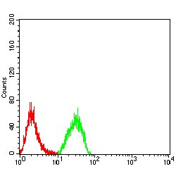 Phospholipase D2 (PLD2) Antibody