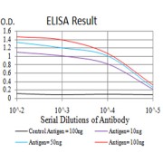 Fig. 1. Figure 1:Black line: Control Antigen (100 ng)Purple line: Antigen (10ng); Blue line: Antigen (50 ng); Red line:Antigen (100 ng)