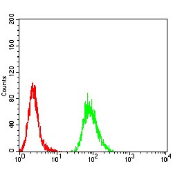 Structural Polyprotein (VP2) Antibody