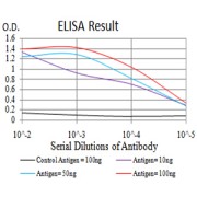 abx224340