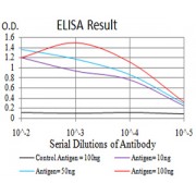 Fig. 1. Figure 1:Black line: Control Antigen (100 ng)Purple line: Antigen (10ng); Blue line: Antigen (50 ng); Red line:Antigen (100 ng)