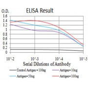 Fig. 1. Figure 1:Black line: Control Antigen (100 ng)Purple line: Antigen (10ng); Blue line: Antigen (50 ng); Red line:Antigen (100 ng)