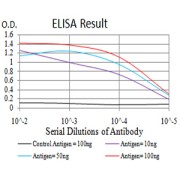 ELISA analysis. Black line: Control Antigen (100 ng)Purple line: Antigen (10ng); Blue line: Antigen (50 ng); Red line:Antigen (100 ng).