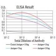Fig. 1. Figure 1:Black line: Control Antigen (100 ng)Purple line: Antigen (10ng); Blue line: Antigen (50 ng); Red line:Antigen (100 ng)