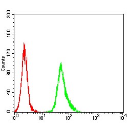 Estrogen Receptor Alpha (ESR1) Antibody