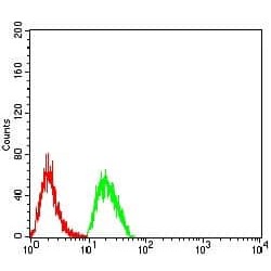 T-Cell Surface Antigen CD2 (CD2) Antibody