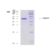 abx060091