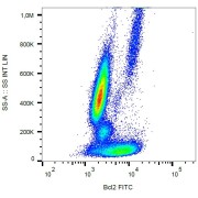 Intracellular staining of human peripheral blood with anti-Bcl2 FITC.