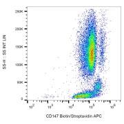 Surface staining of human peripheral blood with anti-human BSG biotin.