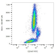 Surface staining of human peripheral blood with anti-human BSG FITC.