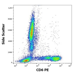 T-Cell Differentiation Antigen CD6 (CD6) Antibody (PE)